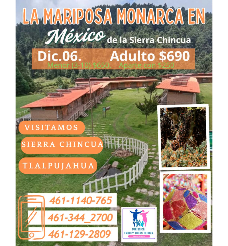 Vive la Magia de Michoacán: Sierra Chincua y Pueblo Mágico de Tlalpujahua